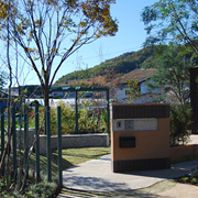 �Ȑ��𐶂������C���O���b�V���K�[�f��