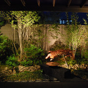 ����ƎG�؂̒�